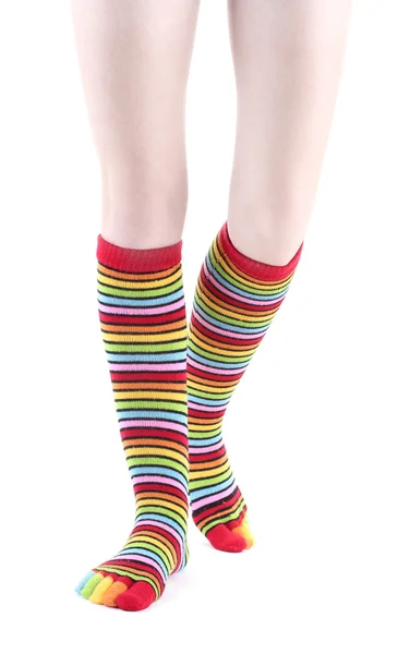 Hunnben i fargerike stripete sokker isolert på hvite – stockfoto