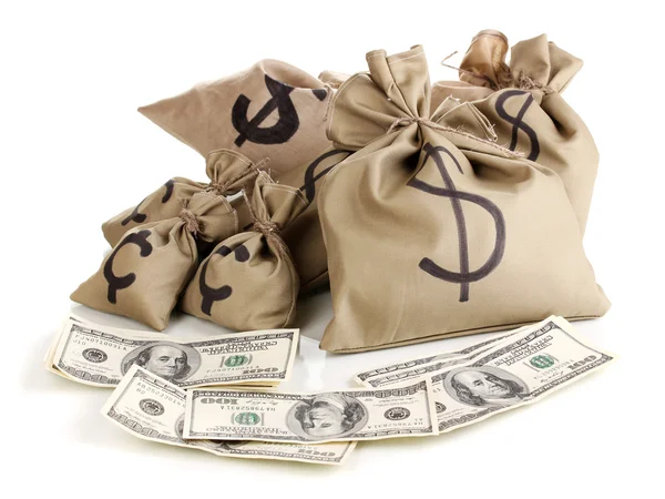 Bags with money isolated on white — Stock Photo, Image