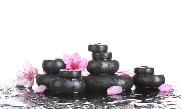 Piedras de spa con gotas y flores de sakura rosa sobre fondo blanco —  Fotos de Stock