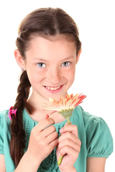 Porträtt av vacker liten flicka med gerbera blomma isolerad på vit — Stockfoto