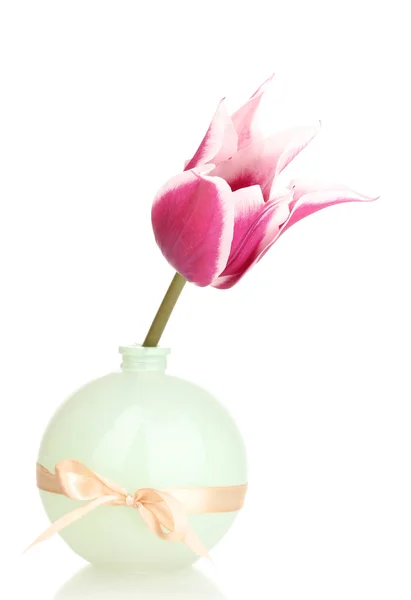 Mooie tulip in vaas geïsoleerd op wit — Stockfoto