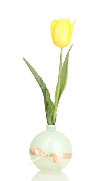 Krásný Tulipán v váza izolovaných na bílém — Stock fotografie