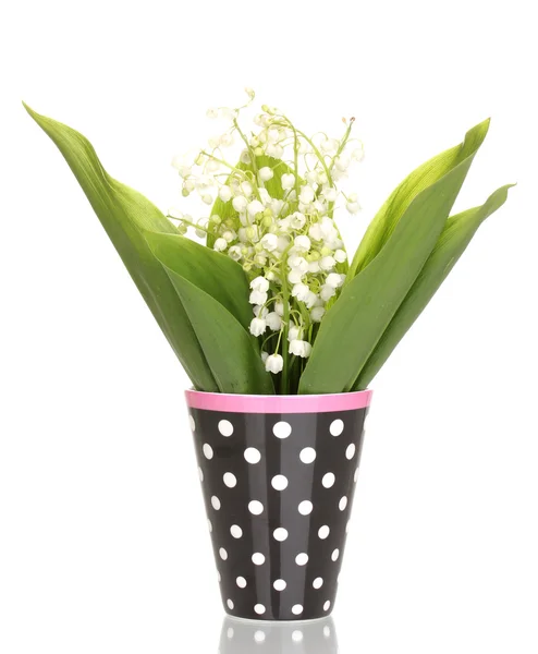5 월-백합 흰색 절연 꽃병 — 스톡 사진