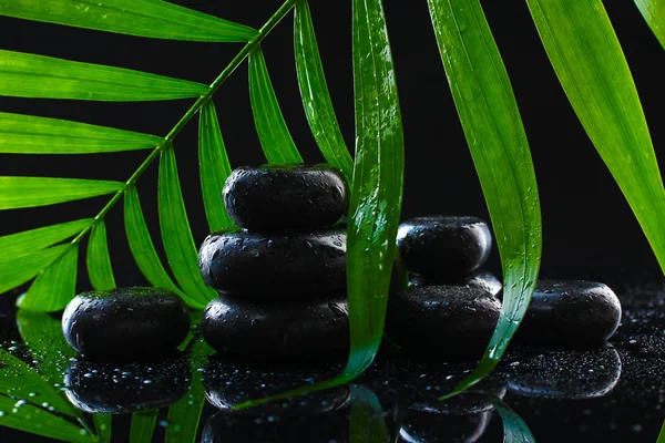 Pedras de spa com gotas e folha de palma verde no fundo preto — Fotografia de Stock