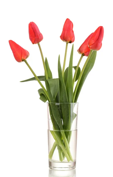 Krásné tulipány ve váze izolovaných na bílém — Stock fotografie