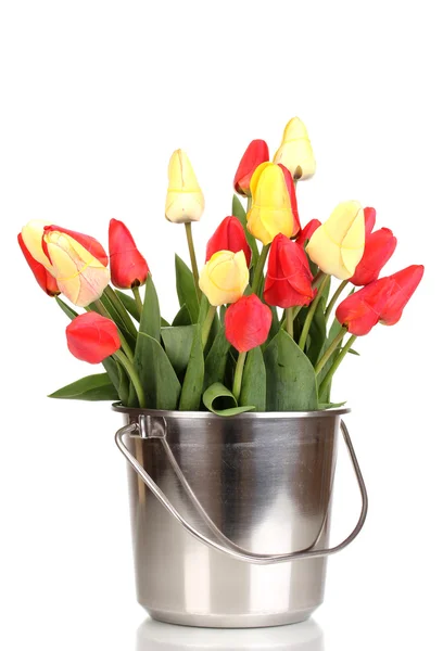Hermosos tulipanes en cubo aislado en blanco —  Fotos de Stock