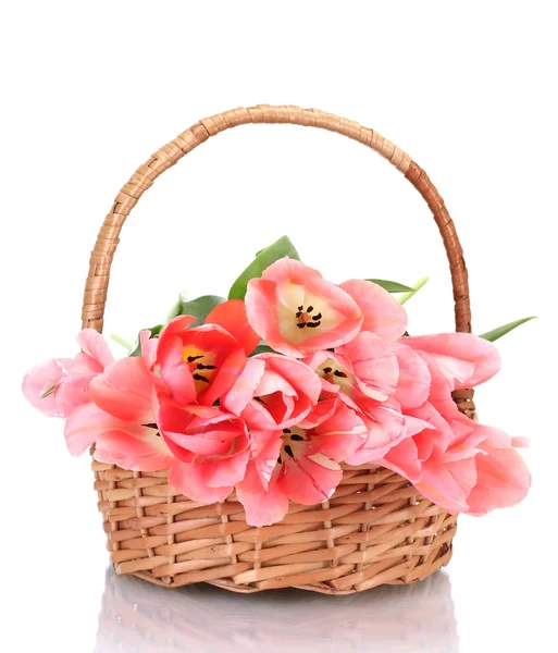 Beautiful pink tulips in basket isolated on white — Stock Photo, Image