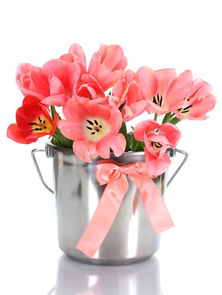 Vödör elszigetelt fehér rózsaszín tulipánok — Stock Fotó