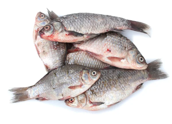 Свежие рыбы, изолированные на белом — стоковое фото