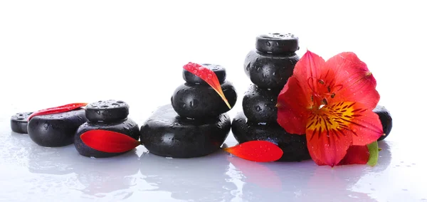 Piedras de spa con gotas, flor roja y pétalos aislados en blanco —  Fotos de Stock