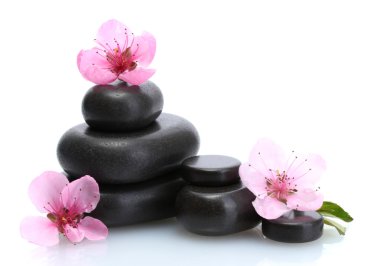 Spa taşlar ve üzerinde beyaz izole pembe sakura çiçekler