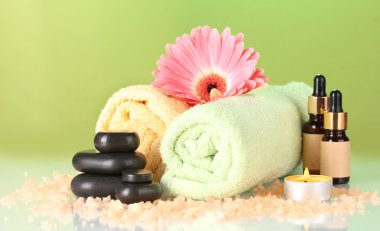 Composition of funds required for spa care on green background clipart