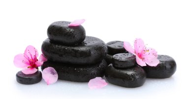 Spa taş düşer ve üzerinde beyaz izole pembe sakura çiçek