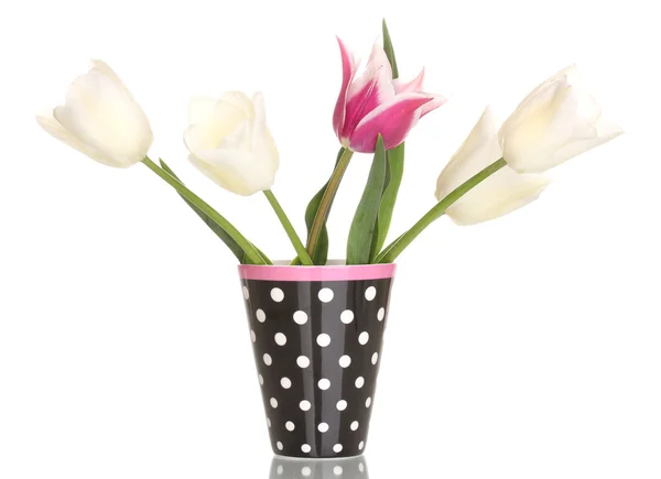 Bellissimi tulipani in vaso isolato su bianco — Foto Stock