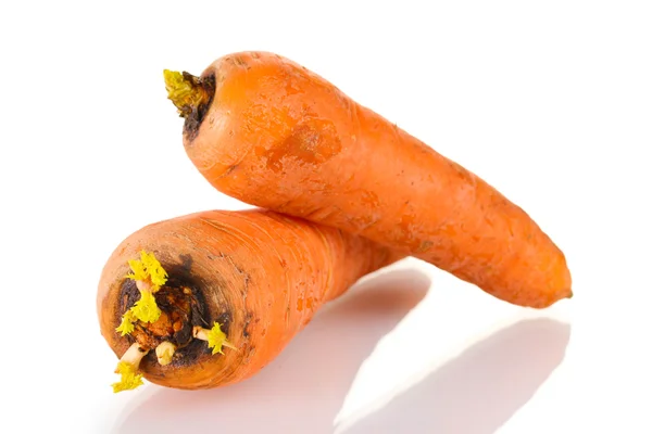 stock image Raw carrot isolated on a white