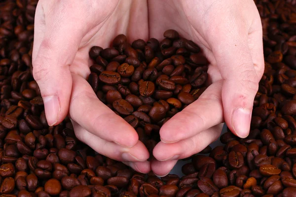 Granos de café tostados frescos en las manos —  Fotos de Stock