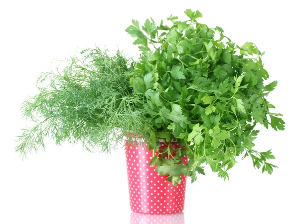 Fresh parsley and dill in a red cup with white polka dots isolated on white — Stock Photo, Image