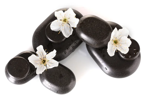 सफेद बंद-अप पर अलग फूलों और पत्तियों के साथ काले स्पा पत्थर — स्टॉक फ़ोटो, इमेज