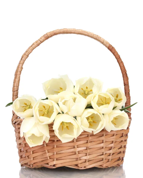 Mooie tulpen in mand geïsoleerd op wit — Stockfoto