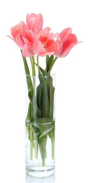 Beautiful pink tulips in glass vase isolated on white — Stock Photo, Image