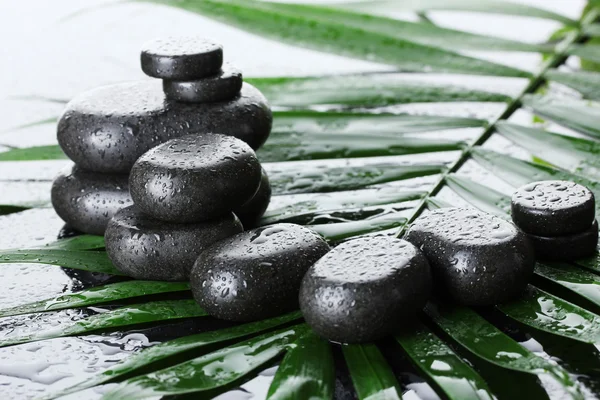Piedras de spa con gotas en hoja de palma verde sobre fondo gris — Foto de Stock
