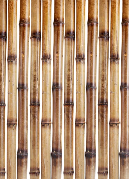 Bâtons de bambou sec isolés sur blanc — Photo