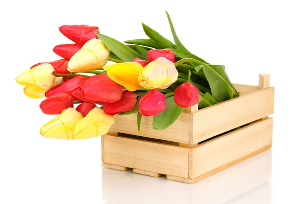 Schöne Tulpen in Kiste isoliert auf weiß — Stockfoto