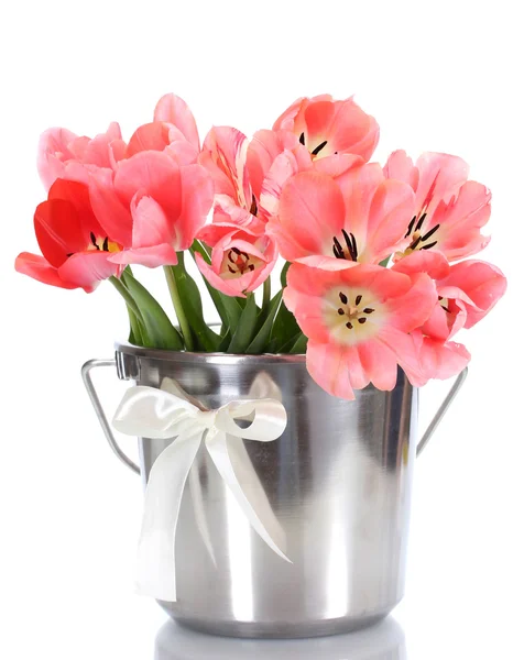 Piękne różowe tulipany w wiaderko na białym tle — Zdjęcie stockowe