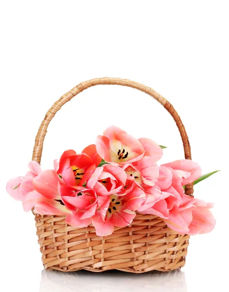 Красивые розовые тюльпаны в корзине изолированы на белом — стоковое фото