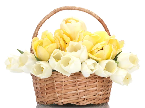 Piękne tulipany w kosz na białym tle — Zdjęcie stockowe