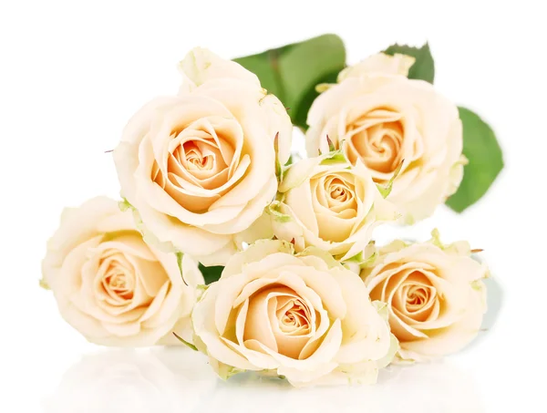 Hermosas rosas aisladas en blanco — Foto de Stock