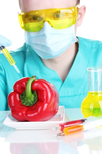 Scientist injecting GMO into the pepper — Stock Photo, Image