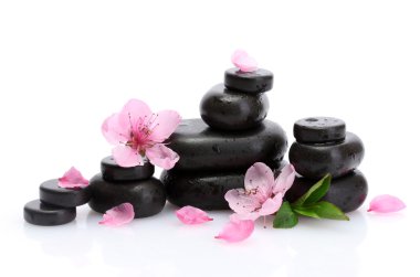 Spa taş düşer ve üzerinde beyaz izole pembe sakura çiçek