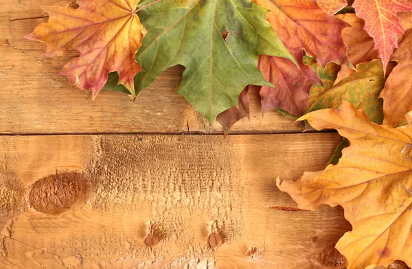 秋の木製の背景にカエデの葉を乾燥します。 — ストック写真