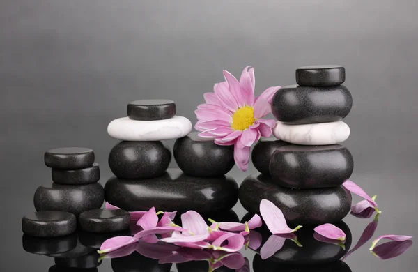 Piedras de spa con pétalos y flores sobre fondo gris — Foto de Stock