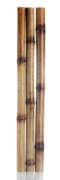 stock image Dry bamboo sticks isolated on white