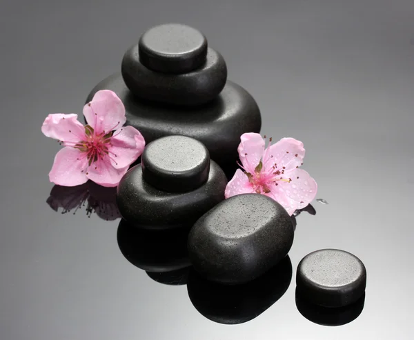 Piedras de spa y flores de sakura rosa sobre fondo gris — Foto de Stock