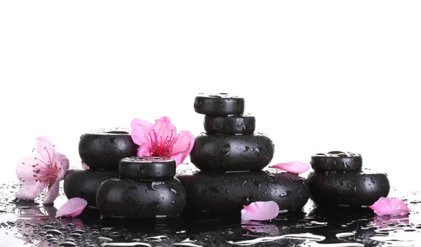 Wellness-Steine mit Tropfen und rosa Sakura-Blüten auf weißem Hintergrund — Stockfoto