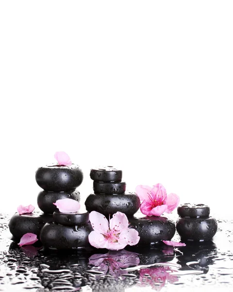 Spa stones with drops and pink sakura flowers on white background — Stock Photo, Image