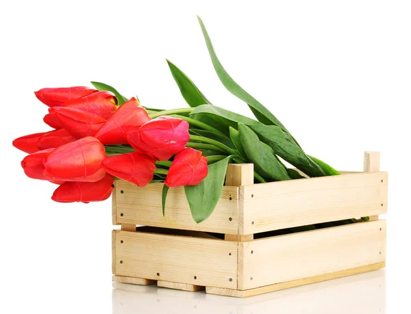 stock image Beautiful tulips in crate isolated on white