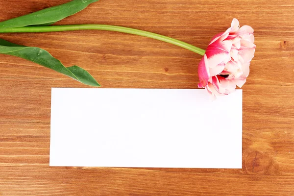 Piękny tulipan i karty na drewniane tła — Zdjęcie stockowe