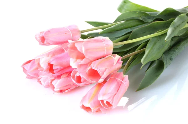 Hermosos tulipanes rosados aislados en blanco —  Fotos de Stock