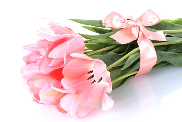Tulip merah muda yang indah terisolasi pada putih — Stok Foto