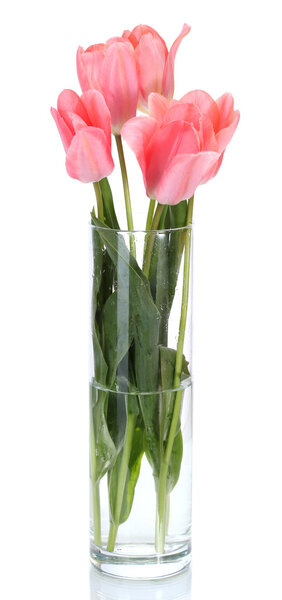 Beautiful pink tulips in glass vase isolated on white