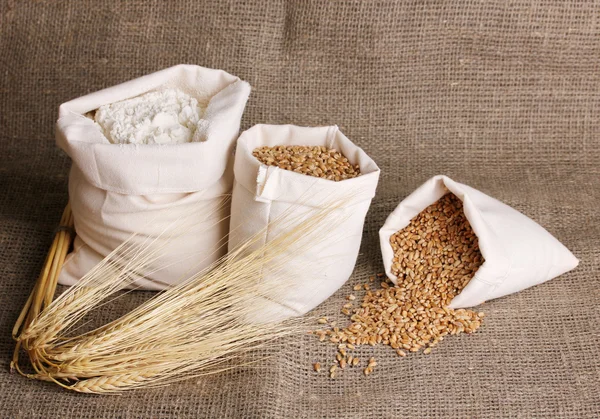 Mehl und Weizenkorn auf Sacktuch — Stockfoto