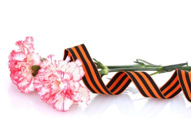 Carnations and St. George's ribbon isolated on white clipart