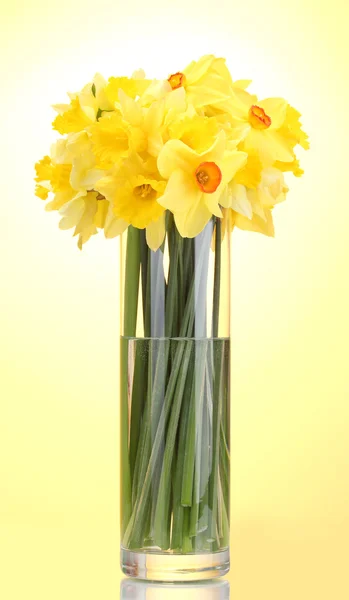 Schöne gelbe Narzissen in transparenter Vase auf gelbem Hintergrund — Stockfoto