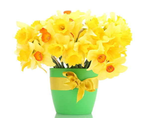 Belos narcisos amarelos em vaso isolado em branco — Fotografia de Stock