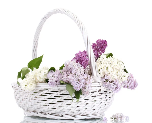 Beautiful lilac flowers in basket isolated on white — Stock Photo, Image