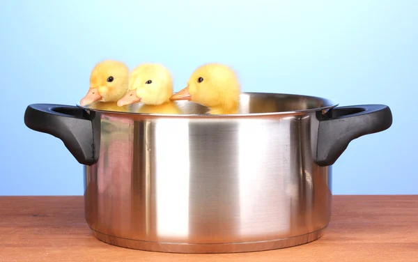 Duckling in saucepan on wooden table on blue background — Stock Photo, Image